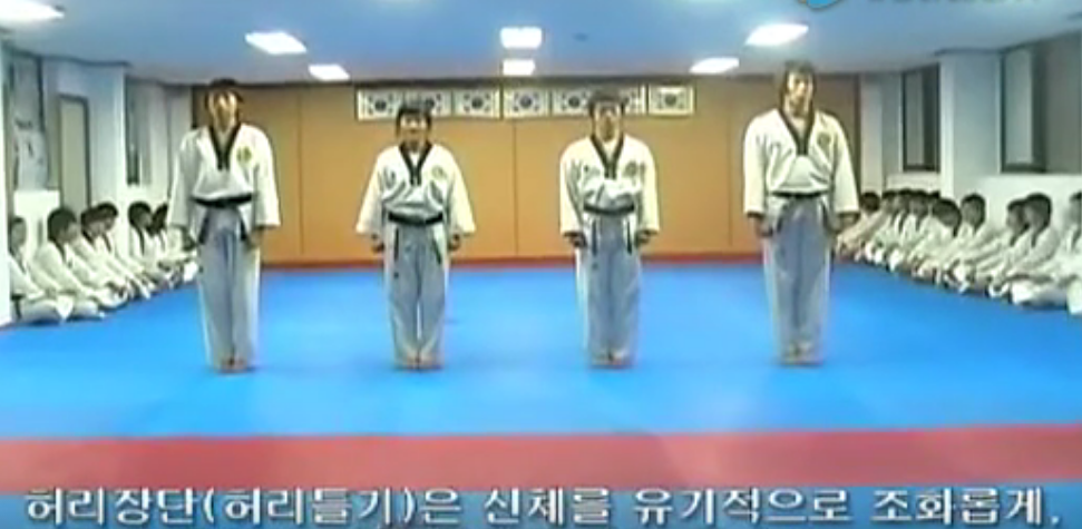 跆拳道品勢訓練教程